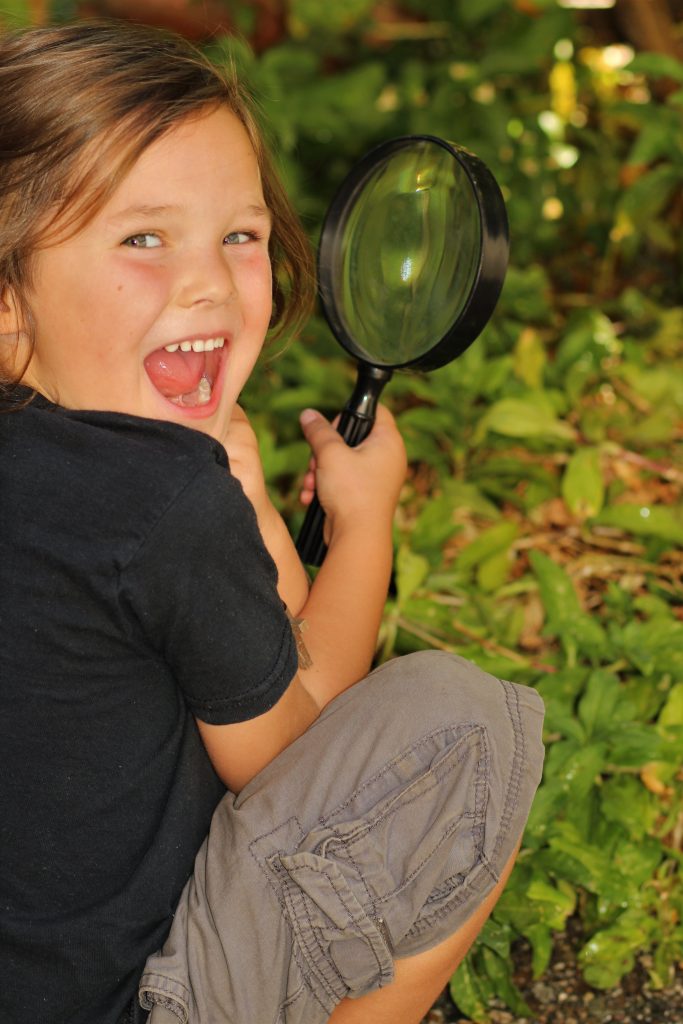 Teach children about living creatures