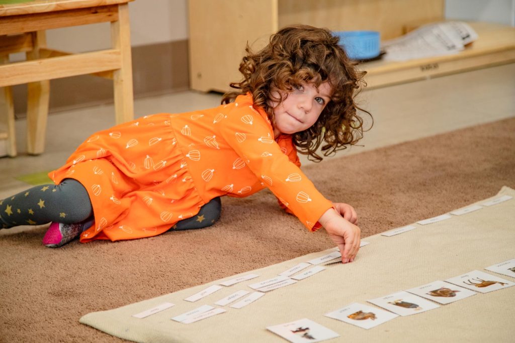 Montessori Classroom Activity