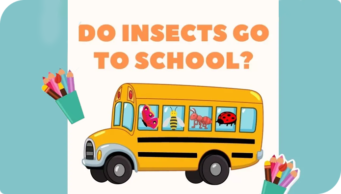 Do-Insects-Have-Classroom